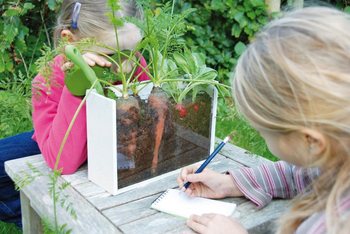 ***BESTSELLER*** OUTDOOR BŐR&Ouml;ND HOGYAN NŐNEK A N&Ouml;V&Eacute;NYEK