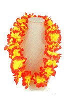 HAWAII VIR&Aacute;GF&Uuml;Z&Eacute;REK (12 db)
