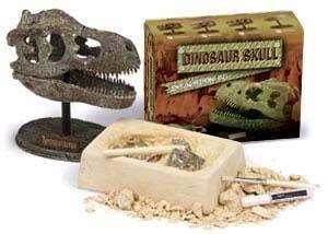 Dinoszaurusz koponya r&eacute;g&eacute;szeti &aacute;sat&oacute; k&eacute;szlet (12 db)
