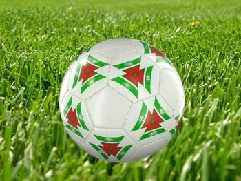 FOCILABDA - 1. MODELL (6 db)
