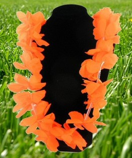 NARANCSS&Aacute;RGA FOCI VB HAWAII NYAKL&Aacute;NC (12 db)