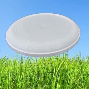 STANDARD FRIZBI 21 CM (25 db)