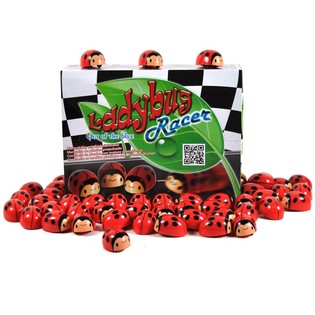 LENDKEREKES KATICA KIJELZŐBEN (36 db)