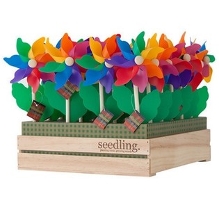 SEEDLING - FA SZ&Eacute;LFORG&Oacute;K DISPLAYBEN (20 db)